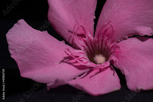 Selective focus on water drops with blurred background