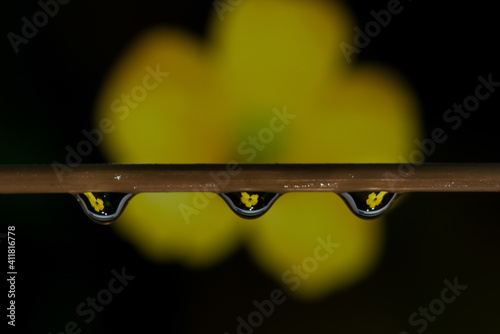 Selective focus on water drops with blurred background