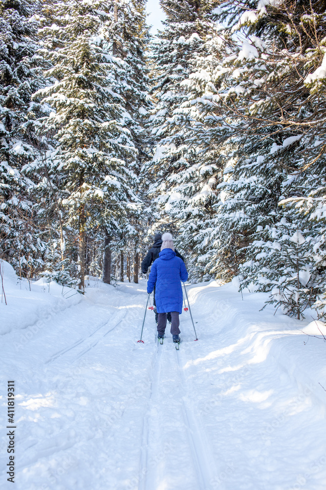 A girl in a blue jacket goes skiing in a snowy forest in winter. A girl in a blue jacket goes skiing in a snowy forest in winter.