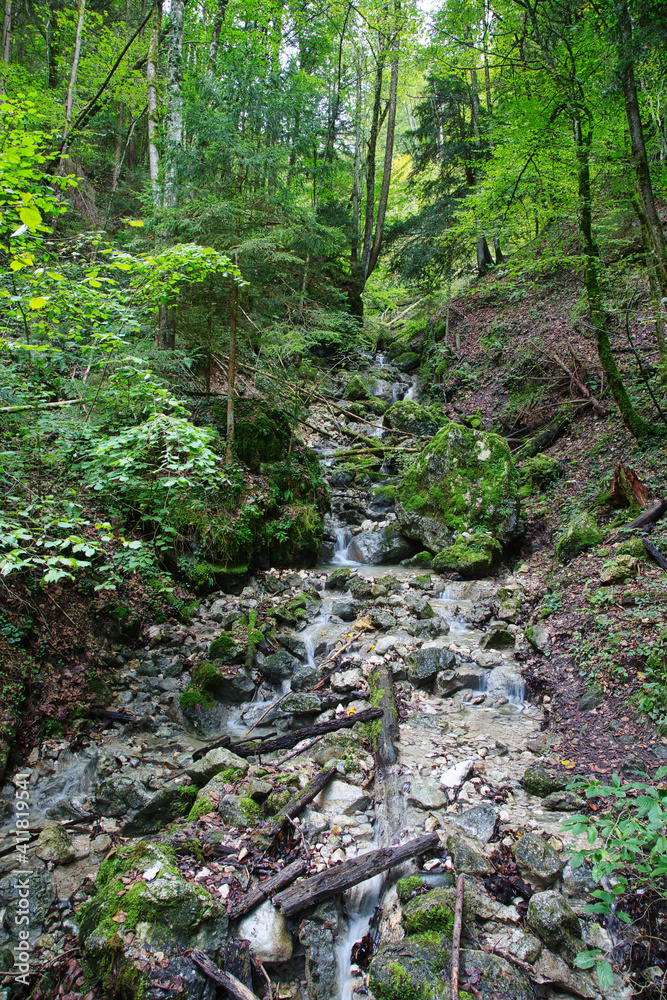 Bachlauf in den Alpen Bachlauf in den Alpen