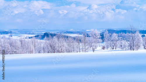 霧氷した木々と雪の丘　冬の北海道