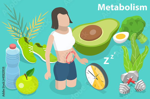 3D Isometric Flat Vector Conceptual Illustration of Metabolism of Human Body, Digestive System and Hormones.