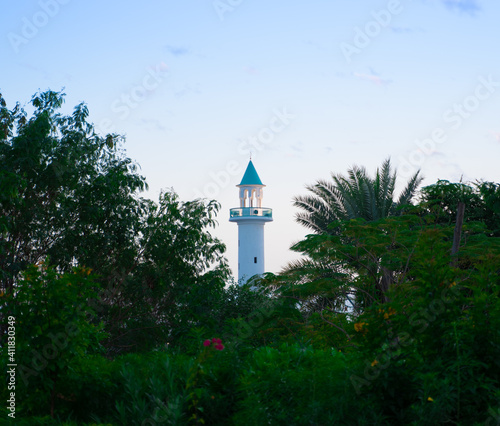 Background image of mosque minaret visible between the trees in Qatar