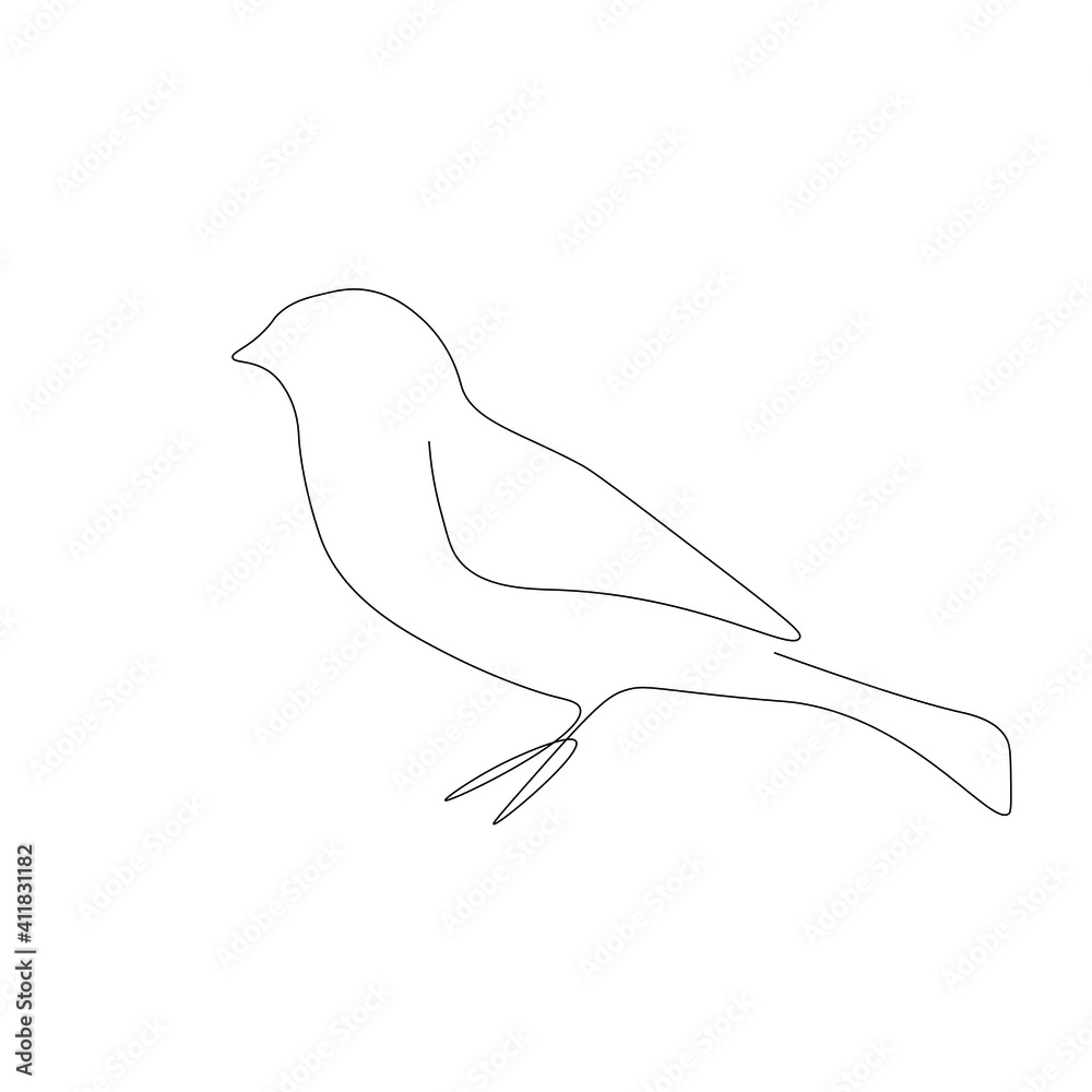 Bird drawing on white background, vector illustration Bird drawing on white background, vector illustration