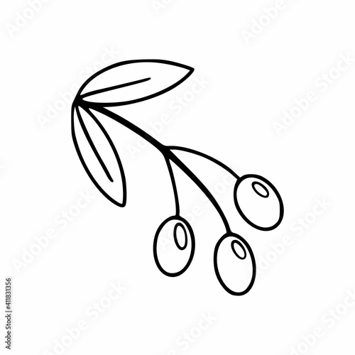 A sprig of olives in the style of a doodle. Vector icon with olives. Vector sketch in the style of hand drau.