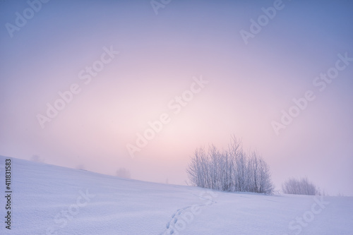 Winter landscape with fog. Warm cold sunrise landscape