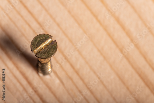 Canvas Print Brass Wood Screw from above on a wooden background