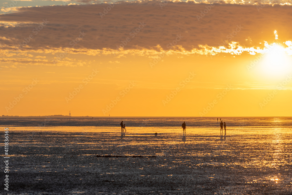 The National Park Wadden Sea by Cuxhaven