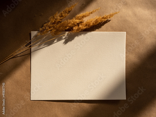 Blank greeting card, invitation and dried flowers in morning sunlight on brown craft paper background, flat lay, top view.