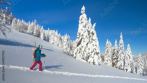 AERIAL: Young woman on snowboarding trip in the Alps hikes along a snowy hill.