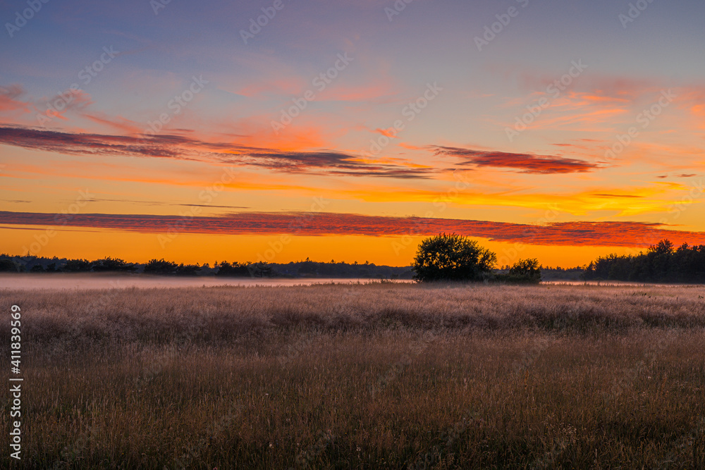 Orange sunset over a foggy meadow with a grove of trees and clouds in Jutland, Denmark