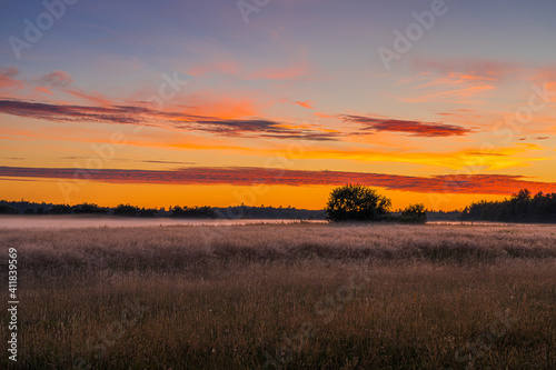 Orange sunset over a foggy meadow with a grove of trees and clouds in Jutland, Denmark