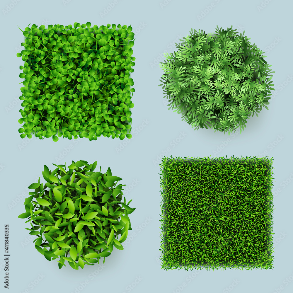 Grass top. Green ground eco gardens forest natural leaves plants decent ...