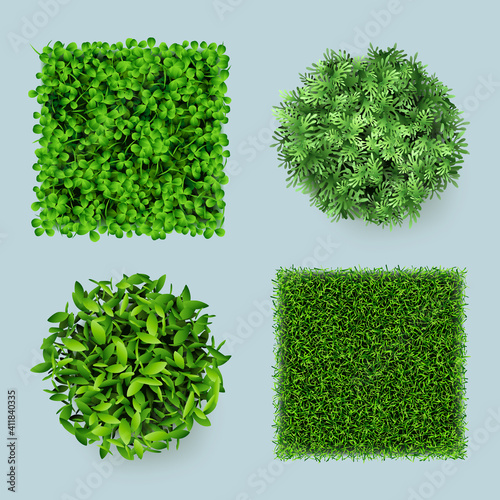 Grass top. Green ground eco gardens forest natural leaves plants decent vector realistic templates. Sample nature garden plant, green grass and leaf illustration