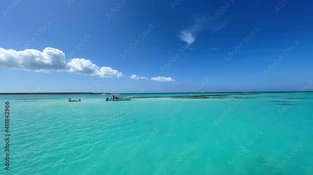 Ocean or sea calm water surface under a blue sky with a few clouds. View on the shore with a beach and tropical trees. Vacation resort paradise in summer time Ocean or sea calm water surface under a blue sky with a few clouds. View on the shore with a beach and tropical trees. Vacation resort paradise in summer time