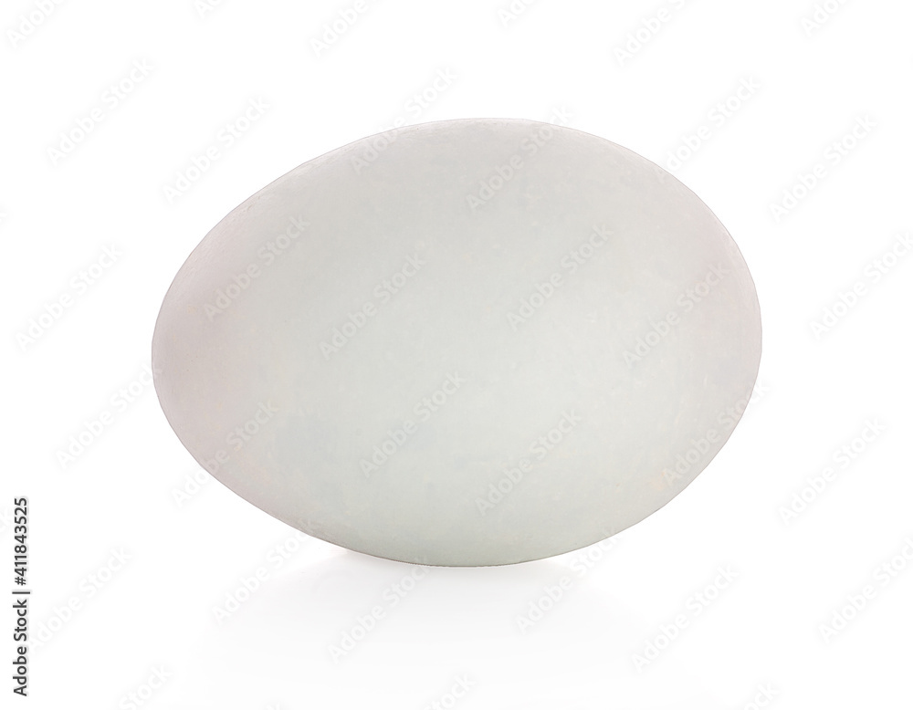 Single white egg isolated on white background Single white egg isolated on white background