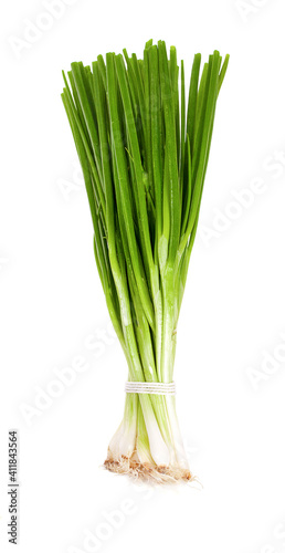 Green onion isolated on the white background