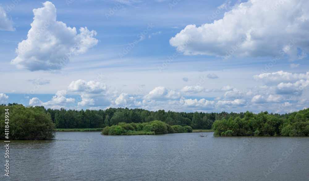 Bright lake summer landscape. Blue sky with rare fluffy clouds. There are many green trees and bushes on the shore.