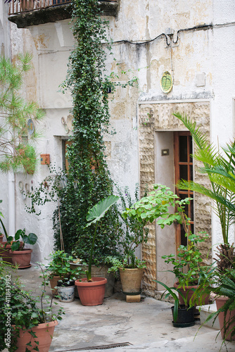 Fototapeta Naklejka Na Ścianę i Meble -  a narrow vintage street with flower pots and ornamental plants in Grottaglie, Italy