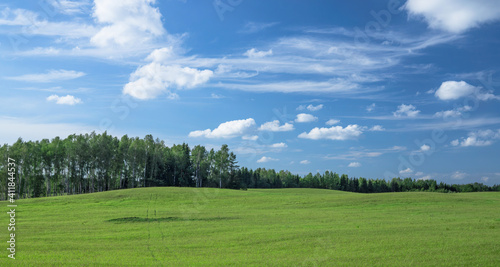 Large field with fresh green grass. The tracks from the wheels lead to the forest. Blue sky with sparse clouds and forest on the background. Beautiful summer landscape.