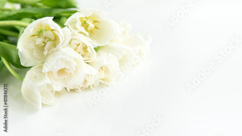 Tulpen, weiß, gefüllt © Tatjana Balzer