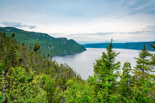Mountains flowing down into the fjord national park for a great view of the sea with trees and bush in the foreground in Quebec Province, Canada, from Notre-Dame-du-Saguenay track during a cloudy day