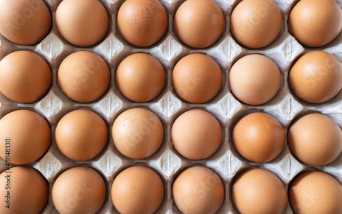 Brown chicken eggs in egg carton tray on white background, Top view