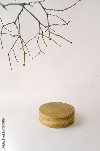 Background with wooden geometric shape podium and branches. Wooden round cylinder shape form for eco product. Empty showcase in minimal style. Abstract pastel mock up for cosmetic.