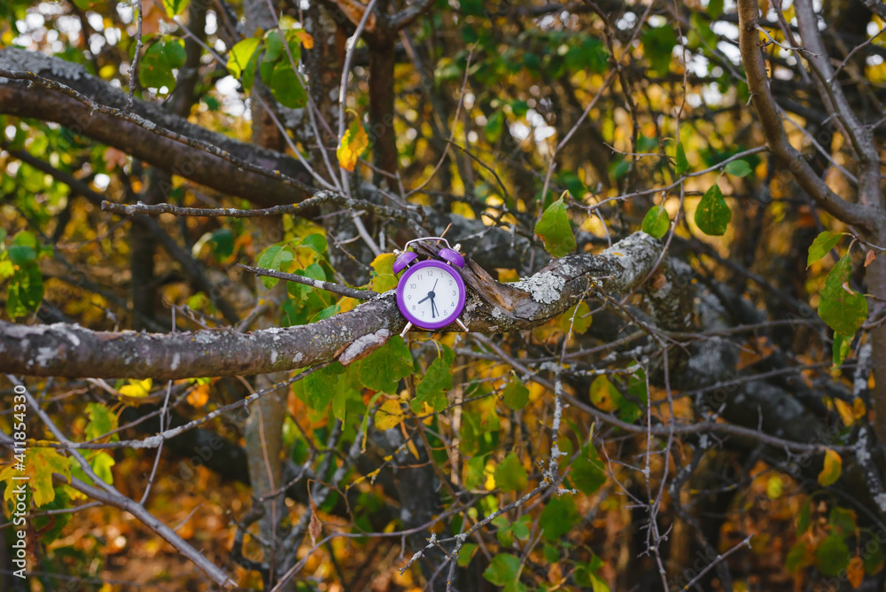 Clock Alarm Clock on The Branches of An Old Tree. Earth Hour. Clock Alarm Clock on The Branches of An Old Tree. Earth Hour.