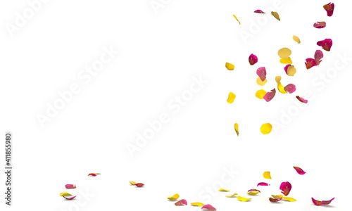 Red ribbed rose petals and yellow petals fall to the floor
