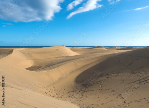 View of the Natural Reserve of Dunes of Maspalomas  golden sand dunes  blue sky. Gran Canaria  Canary Islands  Spain