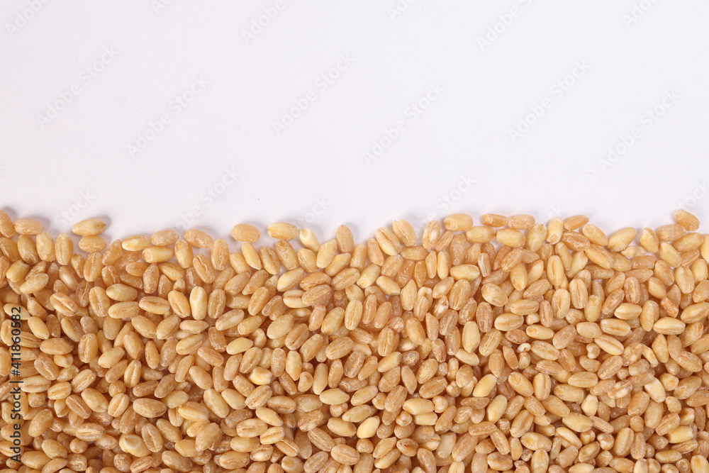 Wheat grain horizontal line frame border copy text space on white background Wheat grain horizontal line frame border copy text space on white background