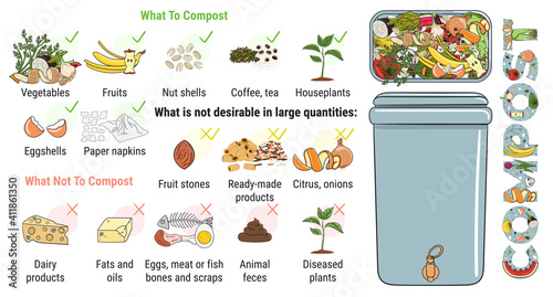 Infographic of composting bin with kitchen scraps. What to or not to compost. No food wasted. Recycling organic waste, compost. Sustainable living, zero waste concept.