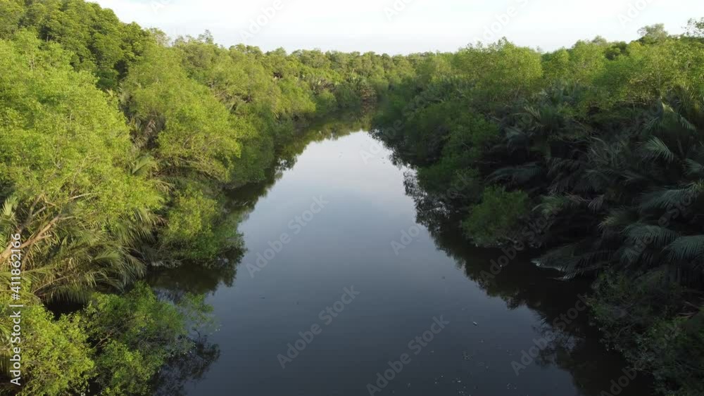 Move at river with mangrove, palm, nipah tree at Sungai Jawi river Move at river with mangrove, palm, nipah tree at Sungai Jawi river