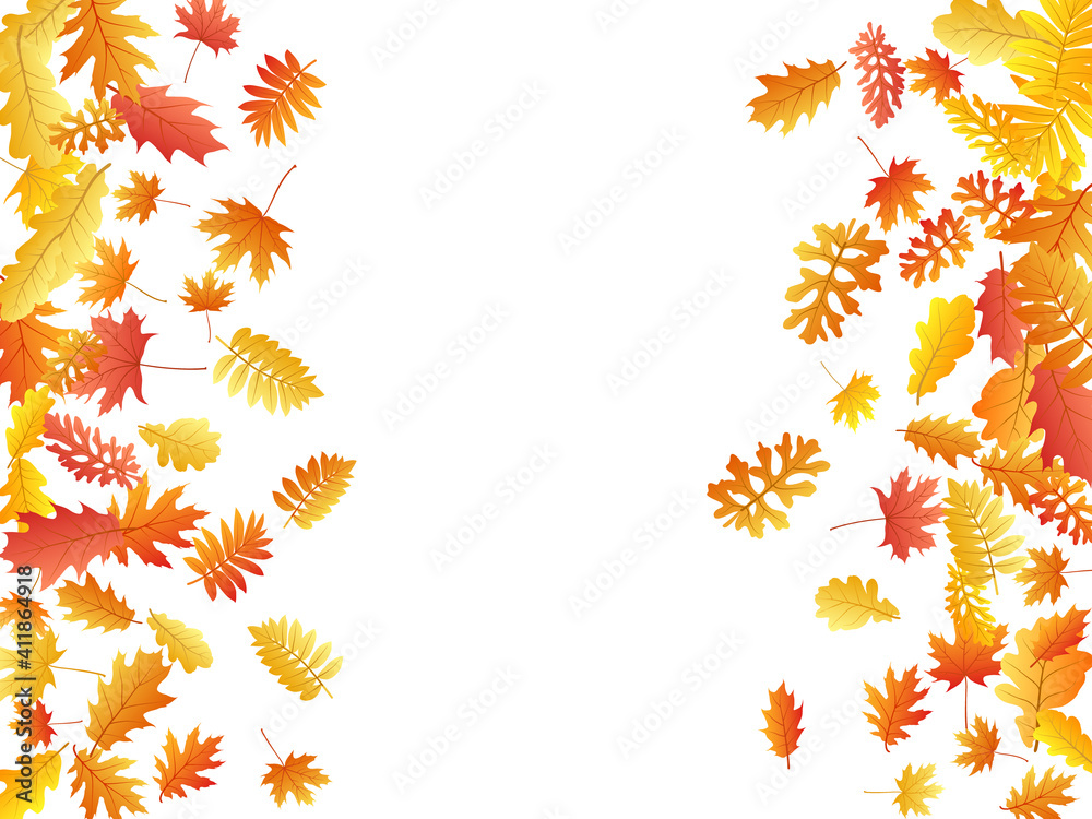 Oak, maple, wild ash rowan leaves vector, autumn foliage on white background. Oak, maple, wild ash rowan leaves vector, autumn foliage on white background.