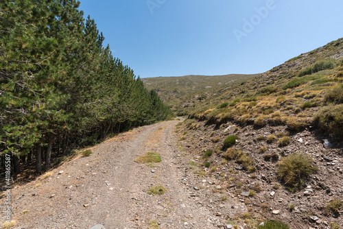 dirt road in Sierra Nevada