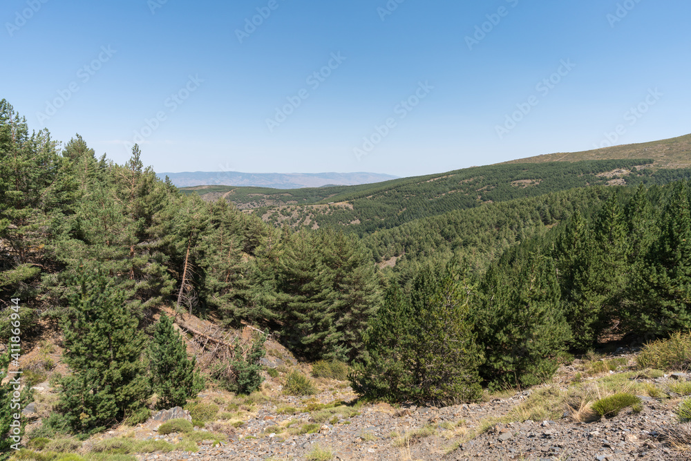 mountainous landscape in Sierra Nevada