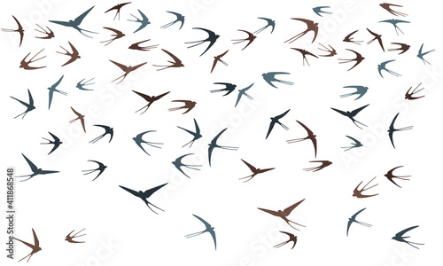 Flying swallow birds silhouettes vector illustration. Migratory martlets flock isolated on white.
