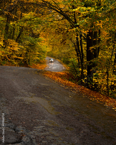 Driving through the autumn