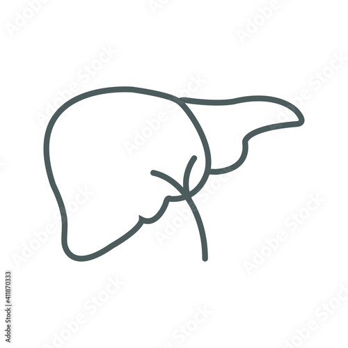 Human liver icon