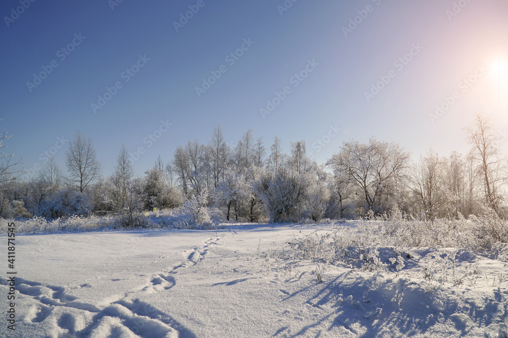 Meadows, bushes and trees covered with frost. Fabulous Winter landscape Meadows, bushes and trees covered with frost. Fabulous Winter landscape