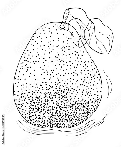 vector illustration of a graphic pear