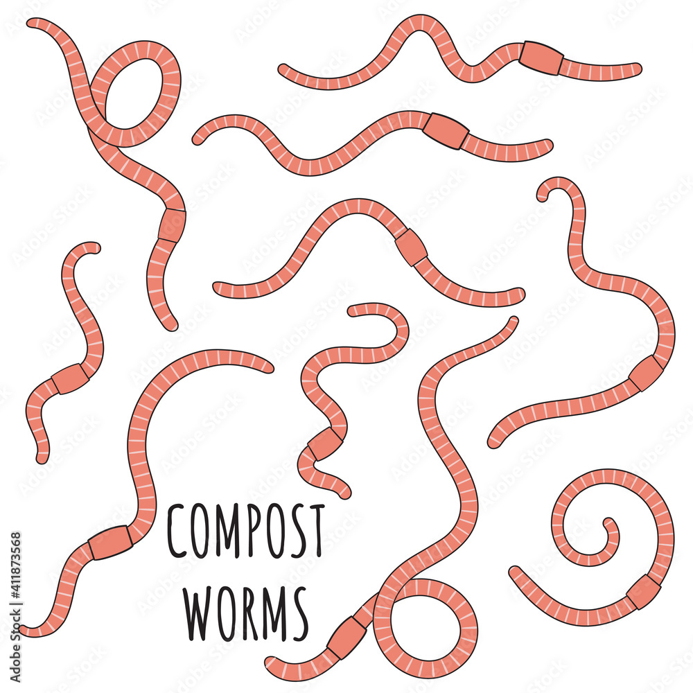Set of pink earthworms. Worms for vermicomposting. Farming and agriculture Set of pink earthworms. Worms for vermicomposting. Farming and agriculture