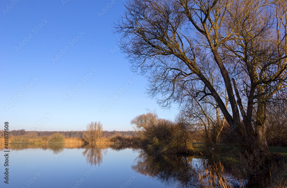 View of a very beautiful pond landscape, called Brietzer Teiche. The lakes are located in Altmark, Saxony-Anhalt.