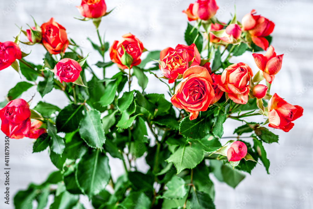 rose composition in vase with fresh flowers on wall background