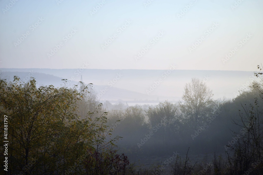 Fototapeta premium sunrise with fog in the forest colored in green and yellow. early autumn landscape in the wild