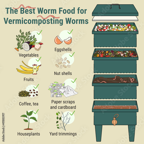Infographic of vermicomposting. What to compost. Worm composting. Recycling organic waste, compost. Sustainable living, zero waste concept