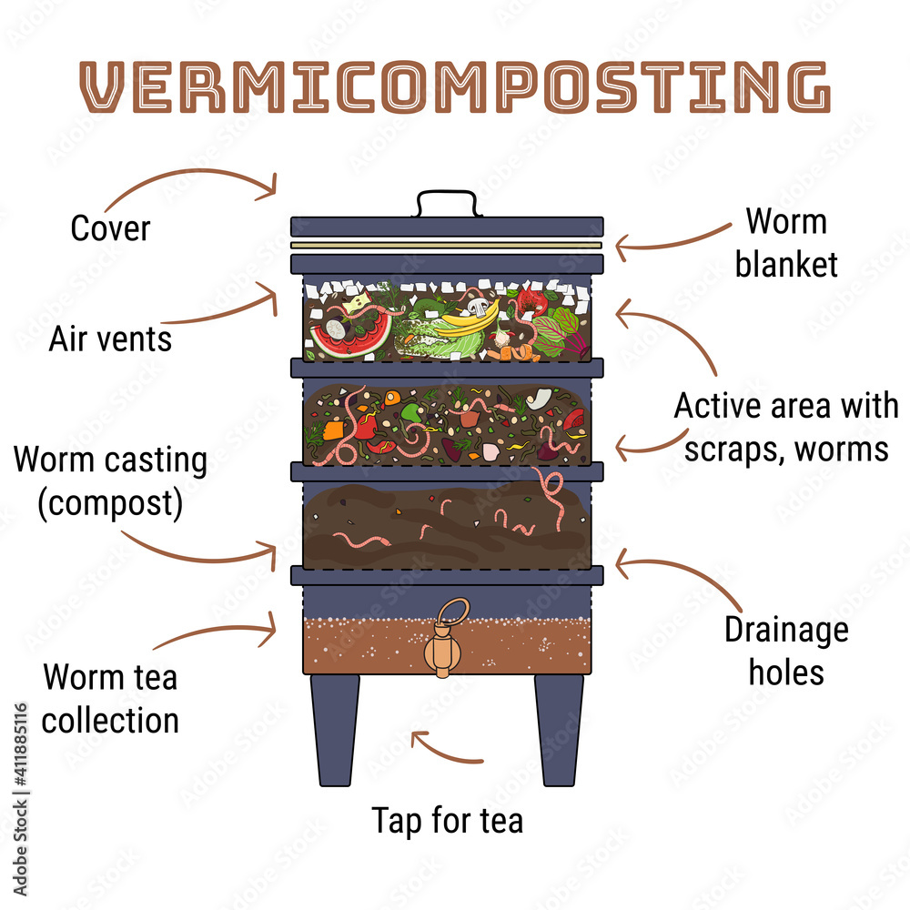 Infographic of Components of