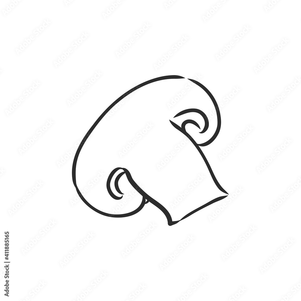 Mushrooms Champignon. Vector hand drawn vegetables isolated on white background. champignon, vector sketch illustration
