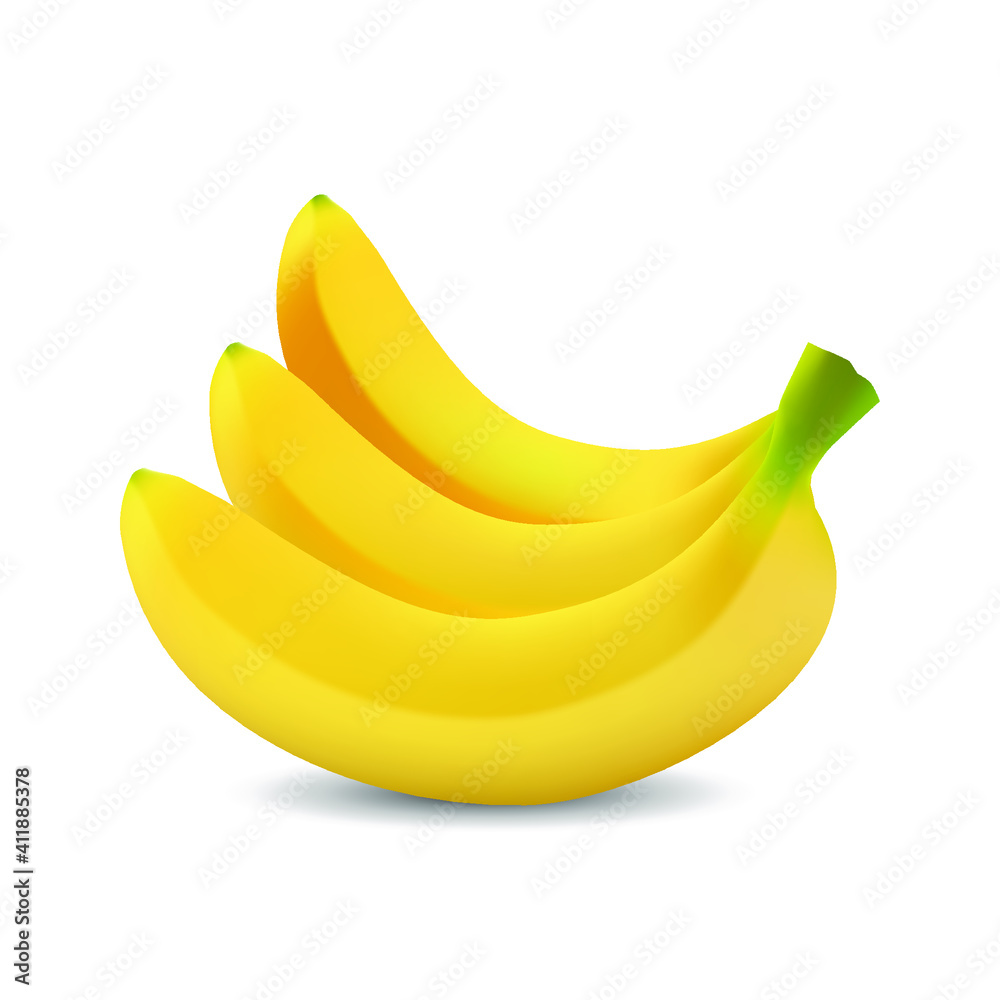 Bunch of bananas isolated on white background, Vector realistic illustration.
